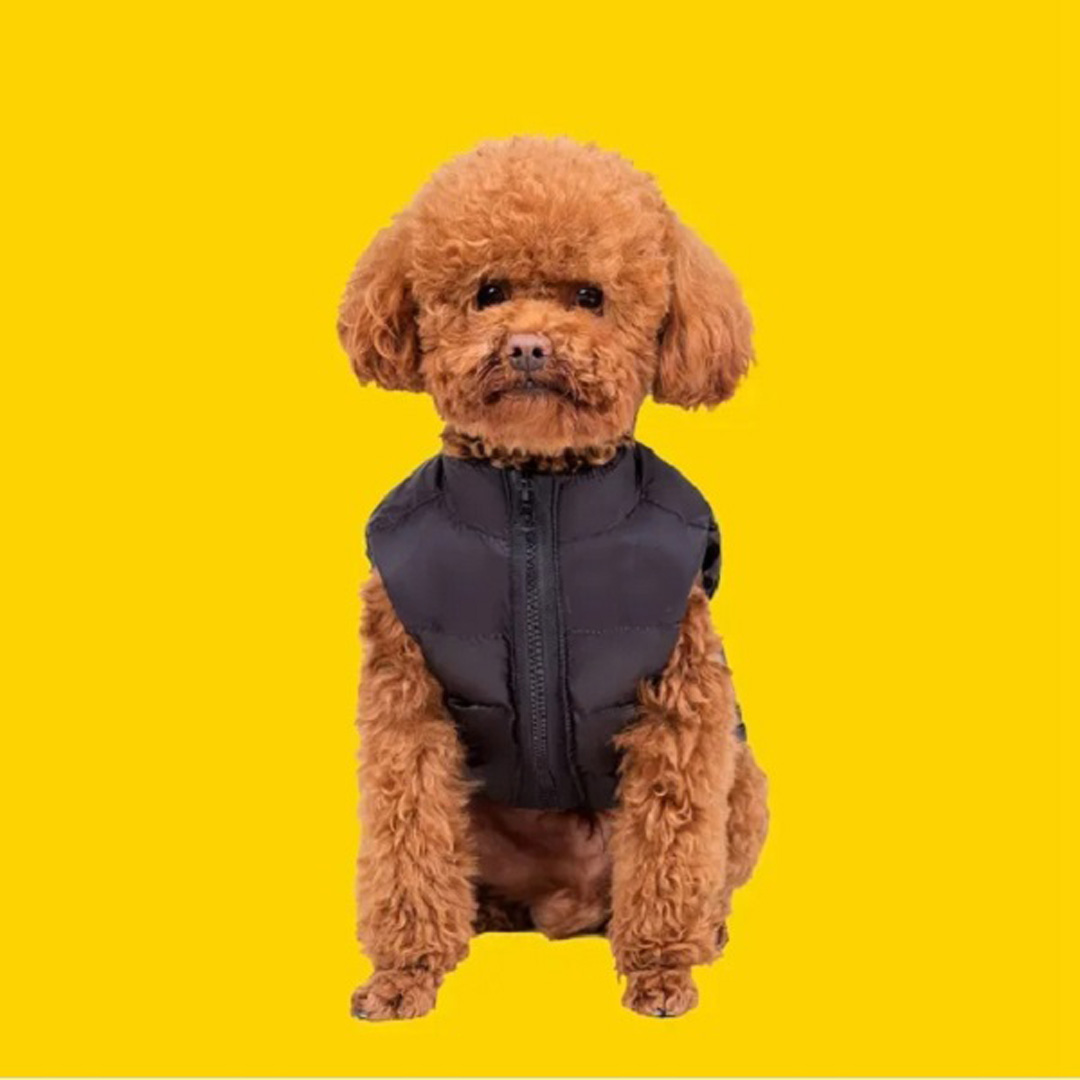 Autumn and winter dog clothing dog face dog clothes coat brand-name pet clothing windproof warm pet vest French bulldog Bixiong Chihuahua poodle black