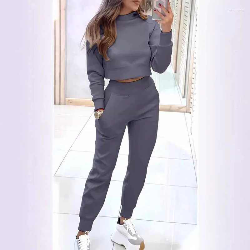 Two Piece Sports Set: Pullover And Pants Suit, Multi-Color, Casual Loose Fit