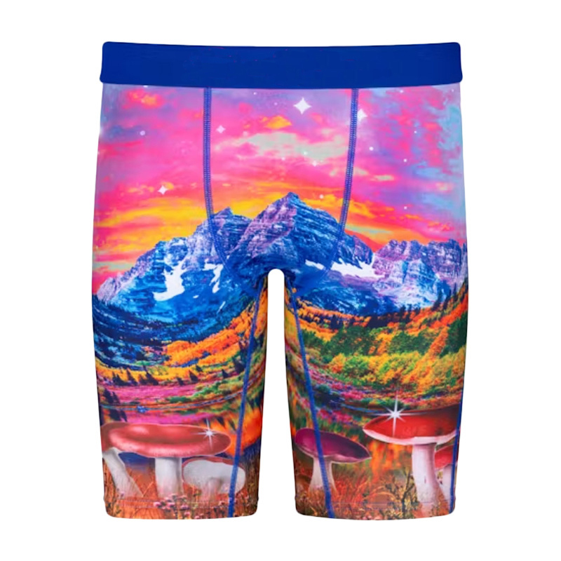 Multi Style Can Choose Style Underwear Mens Sport underpant Basketball underpants Swimming underwears men boxers underwear Retail Wholesale size S -3X