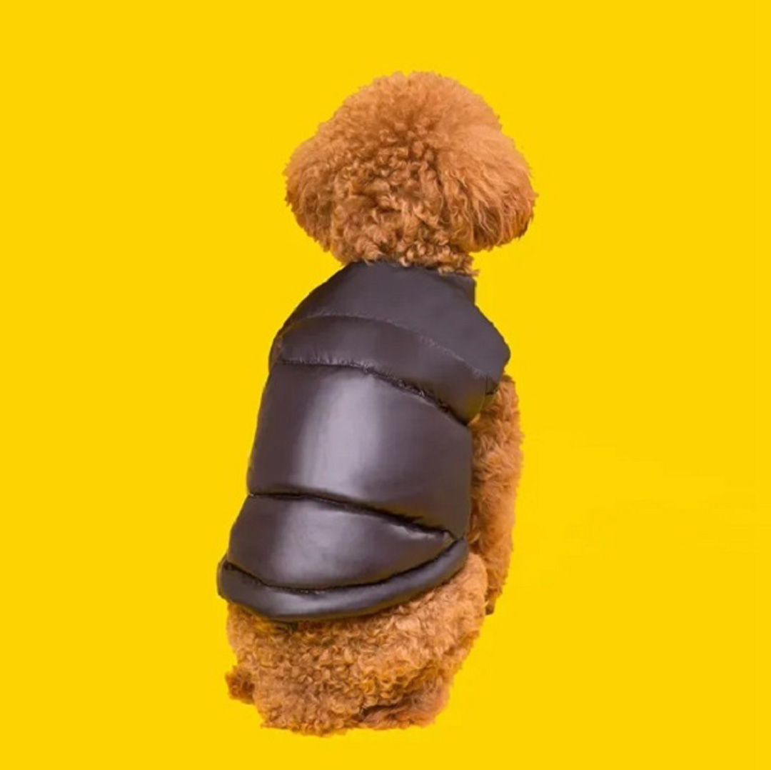 Autumn and winter dog clothing dog face dog clothes coat brand-name pet clothing windproof warm pet vest French bulldog Bixiong Chihuahua poodle black