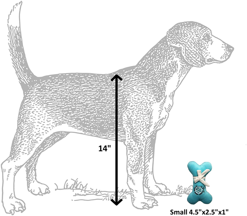 Designs Runway Pup Collection Unique Squeaky Parody Plush Dog Toys Puppy Plush toys Dog Bones, Balls & More Thinking Outside The Box Dogs Christmas Gi