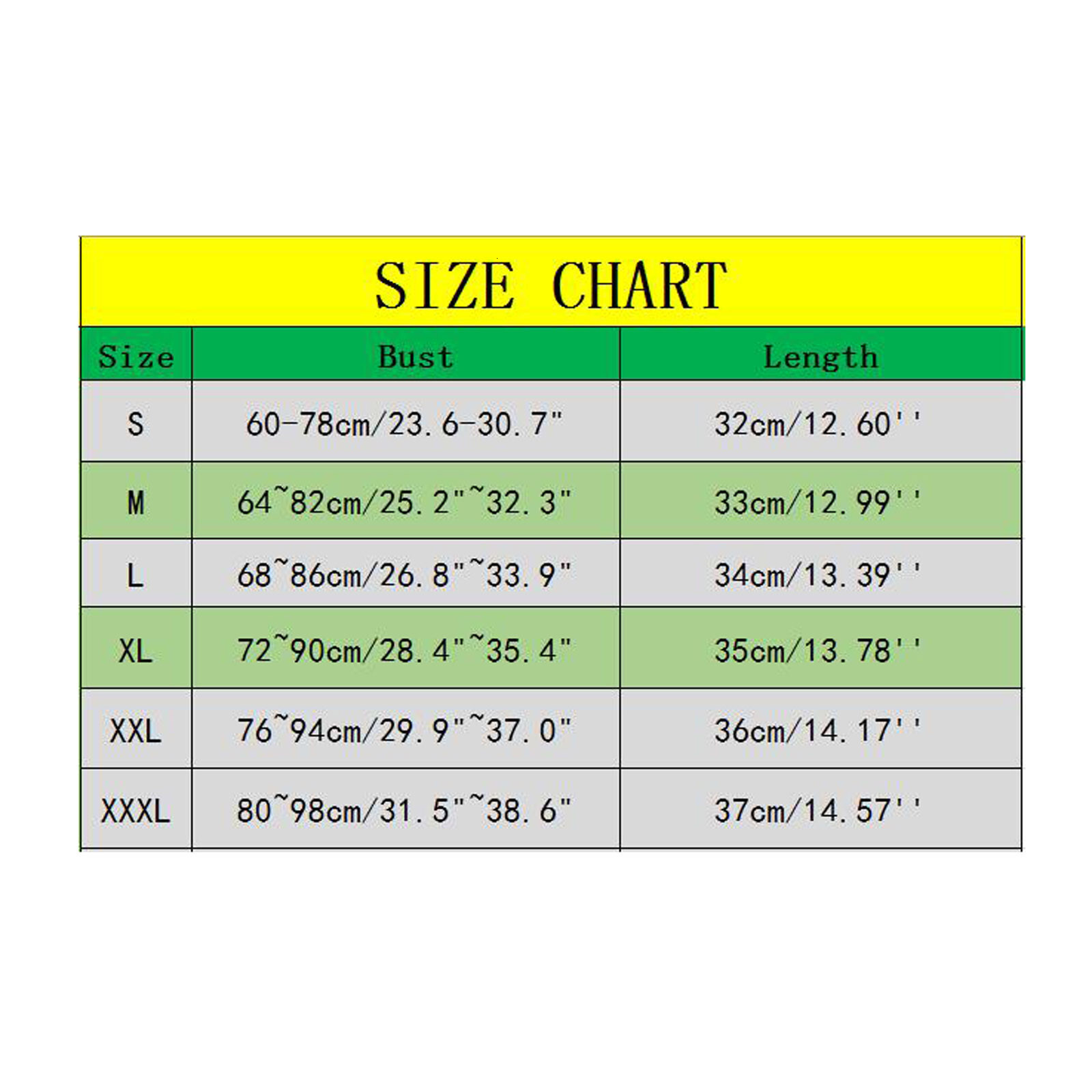2025 New designer trend women s plus size vest metal bra sexy seamless lingerie seductive Bodycon sexy gerie lace bra crop top Ropa
