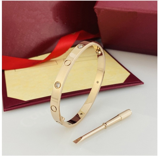 Cart Bracelet Designer Bracelet Luxury Bracelets Jewelry Charm Bangle Silver Gold Rose Stainless Steel Jewellery Diamond Braclet Love Braceletes