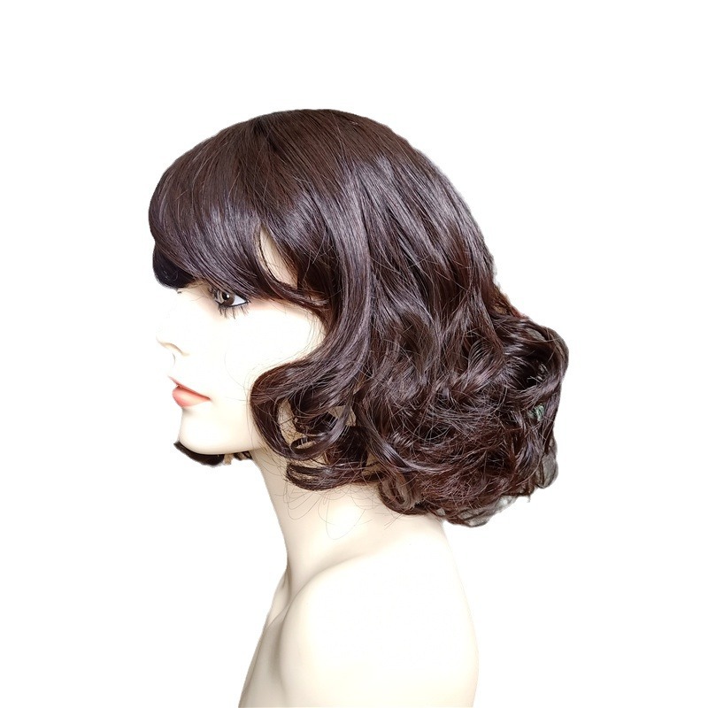 Wig women's short curly hair full head hairstyle net celebrity bangs wool curly short hair