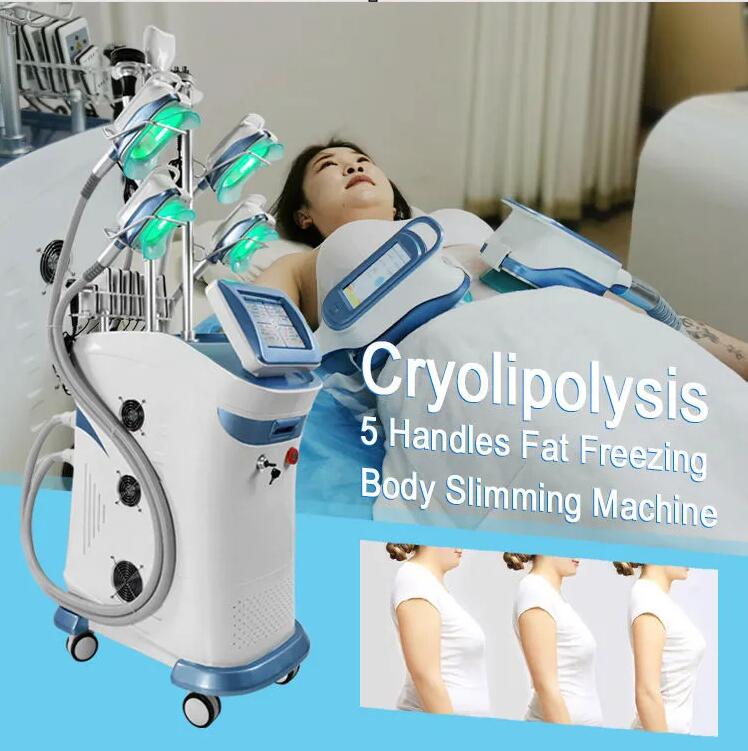 Professional 5 Cryo Handles Cryo Slim Cryotherapy Fat Freezing machine Cooling Lipolysis 4 handles work at the same time with Chin Handle slimming mac