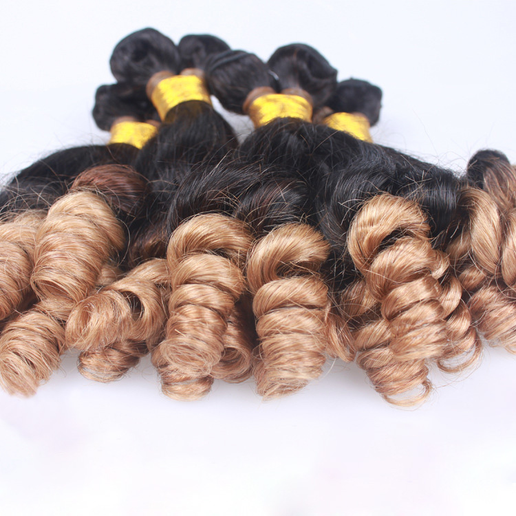 Brazilian Indian Peruvian 100% Human Hair Funmi Hair T1B/27 Ombre Color Curly Hair Extensions 3 Bundles 10-28inch