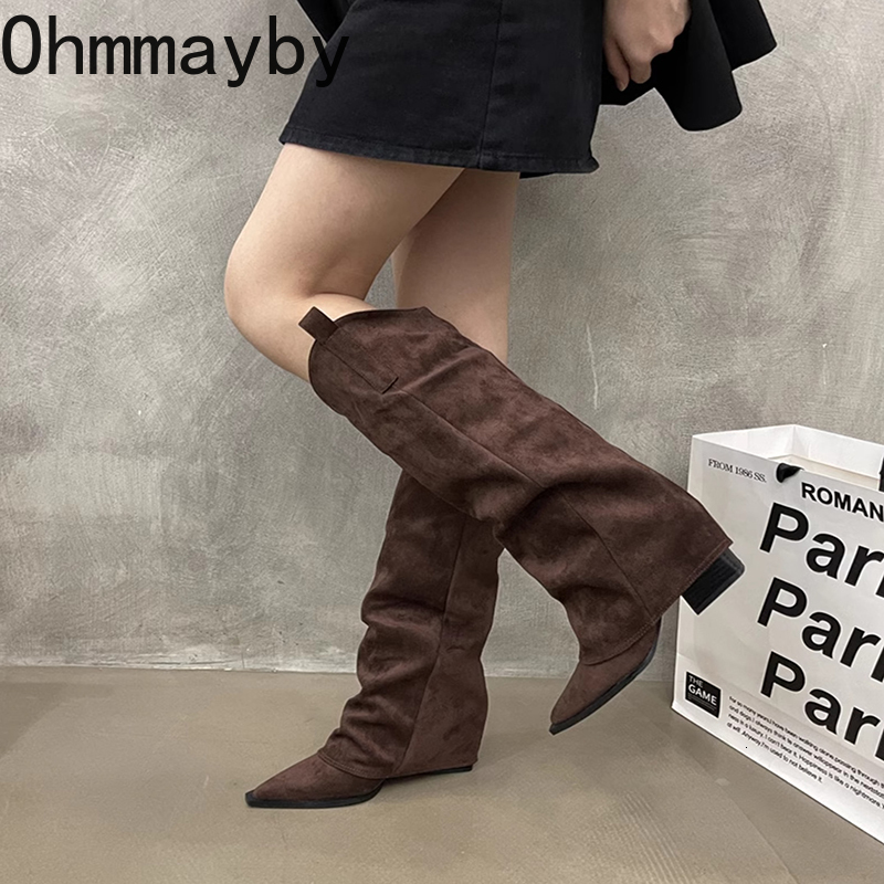 Winter Women Knee High Boots Fashion Pointed Toe Slip On Long Booties Designer Thick Heels Botas De Mujer
