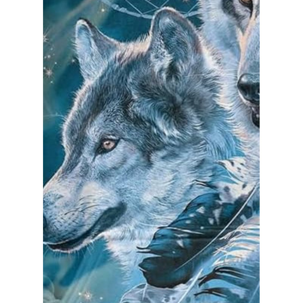 Hoodie for Mens Womens Fashion is cool For Men Women 3D Print Three Wolf Moon Adults Wolves Galaxy Sweatshirt Wolf Graphic Hoodies sweatshirt Pullover