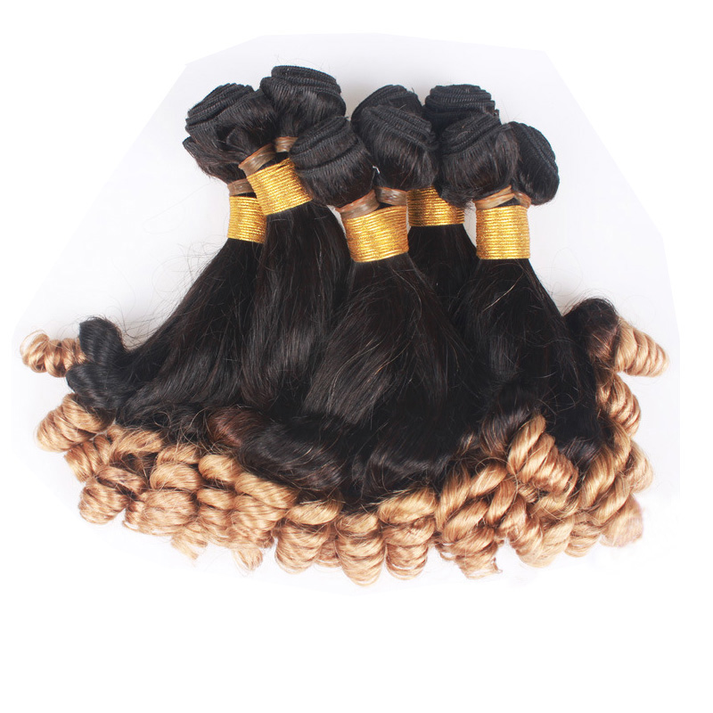 Brazilian Indian Peruvian 100% Human Hair Funmi Hair T1B/27 Ombre Color Curly Hair Extensions 3 Bundles 10-28inch