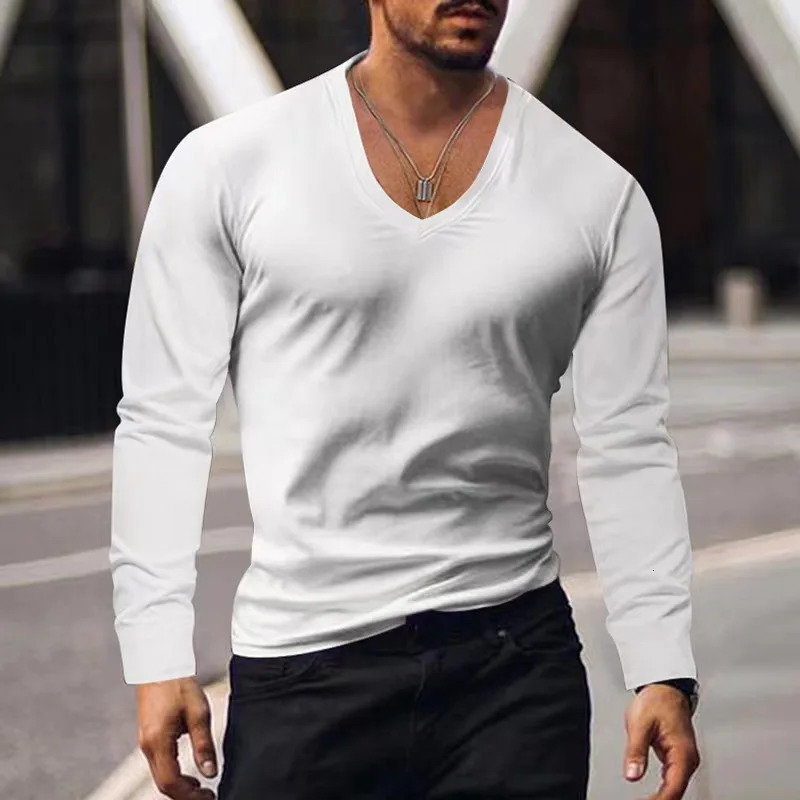 Spring/Summer/Autumn Mens T-shirt Casual Long Sleeve Fitness Solid Sexy V-neck Mens T-shirt 241024