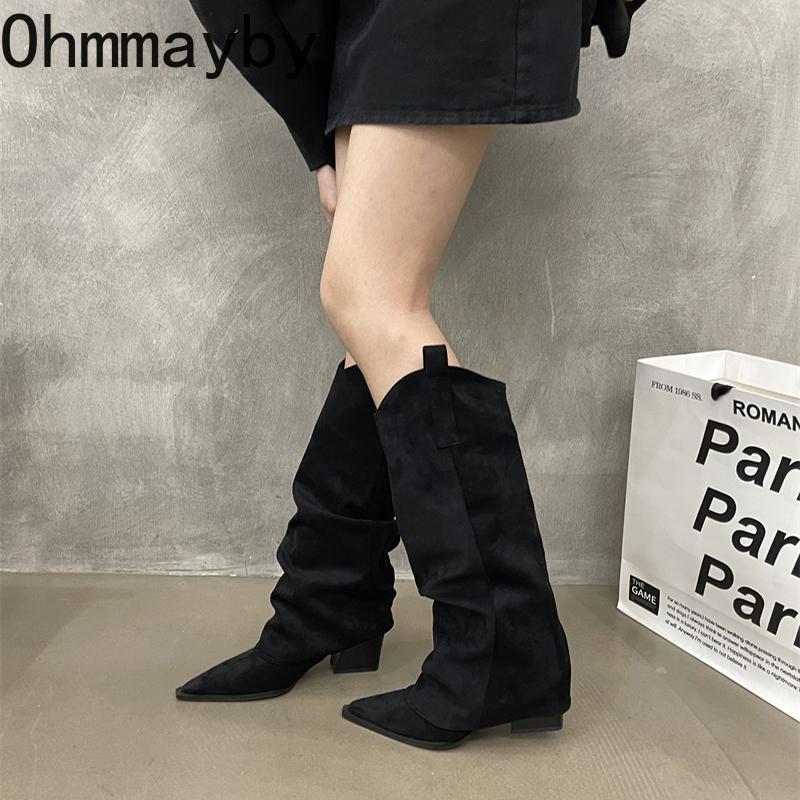 Winter Women Knee High Boots Fashion Pointed Toe Slip On Long Booties Designer Thick Heels Botas De Mujer