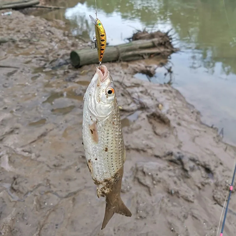 5pcs Fishing Lures Kit Sinking Minnow Trout Artificial Bait Crank Bass Tackle 241024