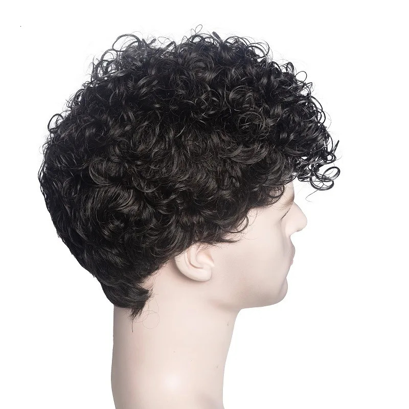 HANEROU Short Men Synthetic Wig Curly Black Natural Wigs with Bangs High Temperature Fiber for Daily Cosplay Party 241024