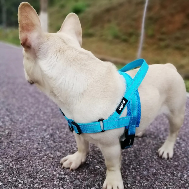 Dog Collars Harness Easy on And Off Adjustable Medium Large Dogs Reflective No Pull Training Vest for Pet Dogs Walking Harness