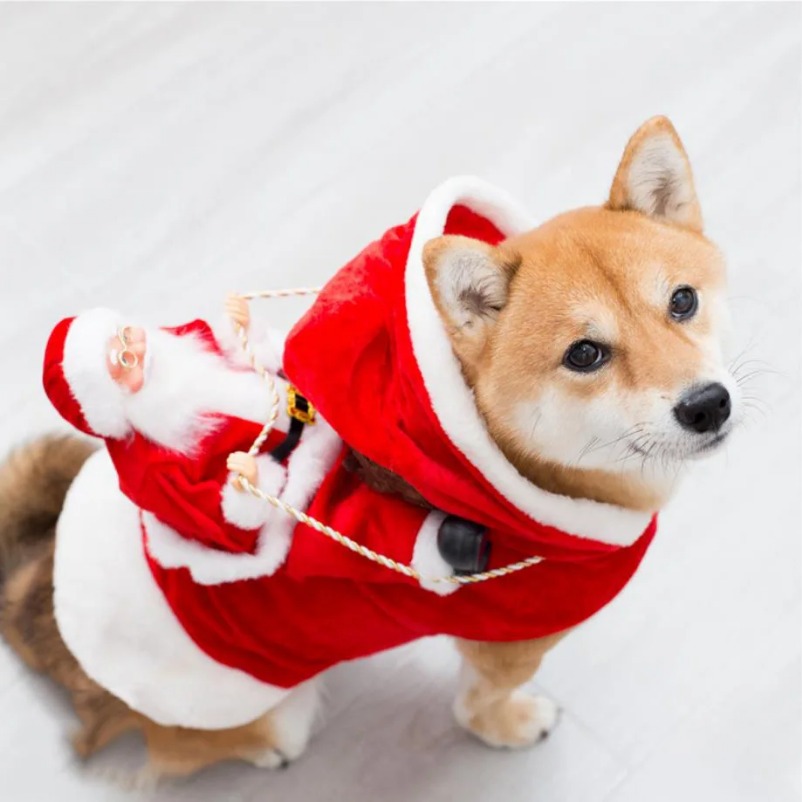 Santa Claus Ski Riding Clothing Warm and Frost Proof Pet Christmas Supplies Free shipping