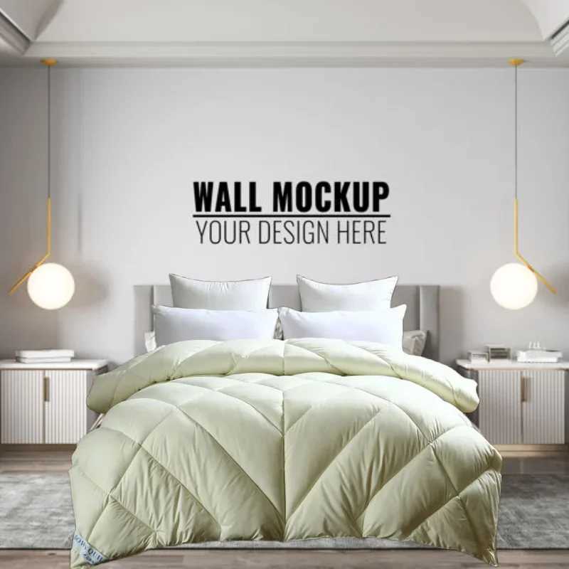 Korean Minimist Goose Down Quilt 95% Thick Cotton for Winter Spring and Autumn W241024