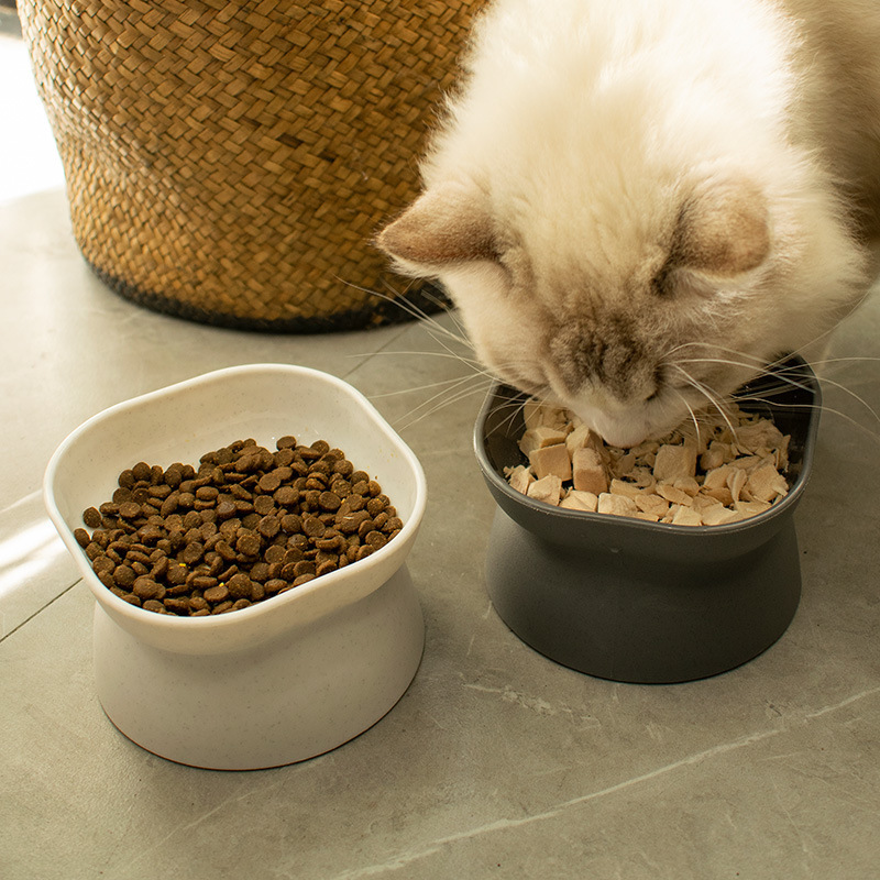 Double-sided pet feeding water bowl slanted mouth to protect the cervical spine dog feeder to prevent knocking over tall cat feeding bowl