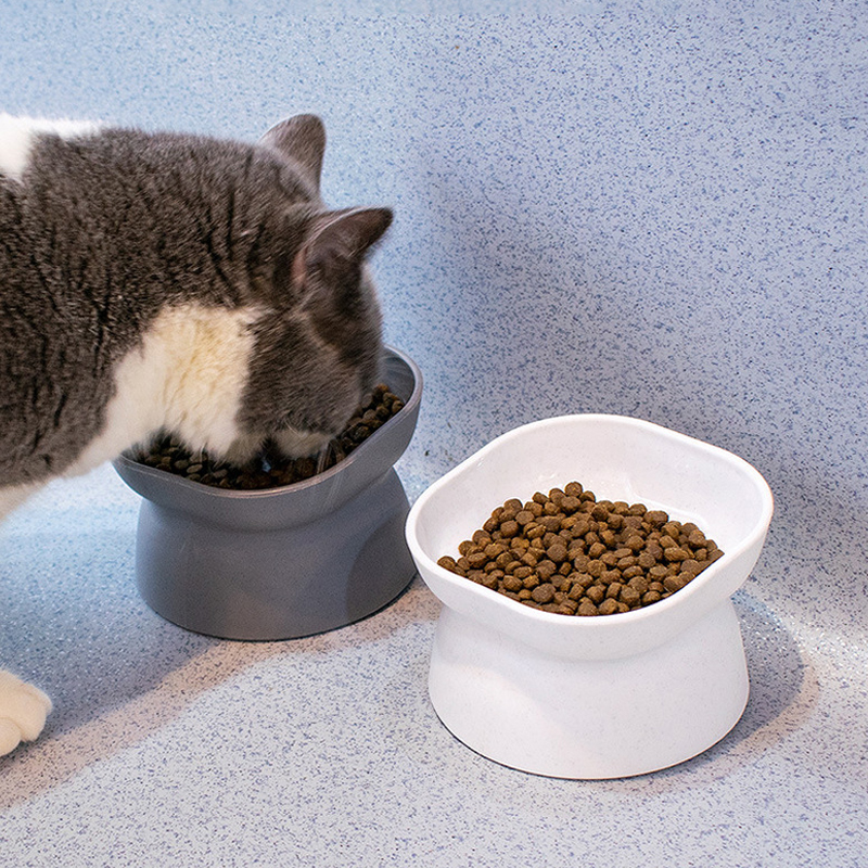 Double-sided pet feeding water bowl slanted mouth to protect the cervical spine dog feeder to prevent knocking over tall cat feeding bowl