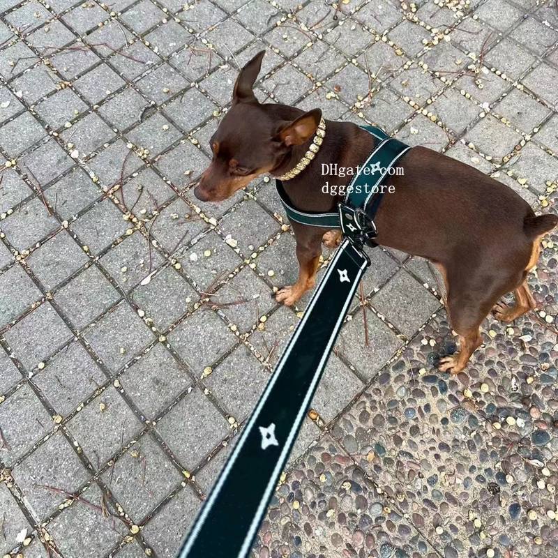 free shipping No Pull with ic Jacquard Pattern Designer Collars Leash Set Adjustable Nylon Quick Fit Dog Vest Harness for Small to Large Dogs XL B177