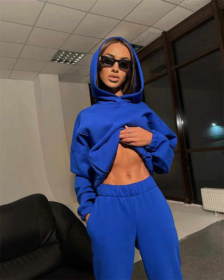 Spring/Winter Loose Hoodie Set Sports and Leisure Thickened Set Two Piece Set Womens Two Piece Set 241024
