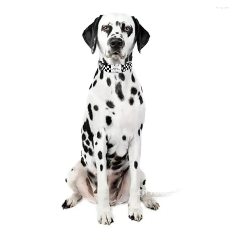 Dog Collars Personalized Pet Collar White Black Cube Cool Durable Custom Puppy Name ID Tag Adjustable Basic Leash
