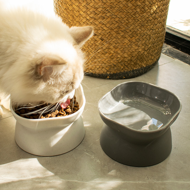 Double-sided pet feeding water bowl slanted mouth to protect the cervical spine dog feeder to prevent knocking over tall cat feeding bowl