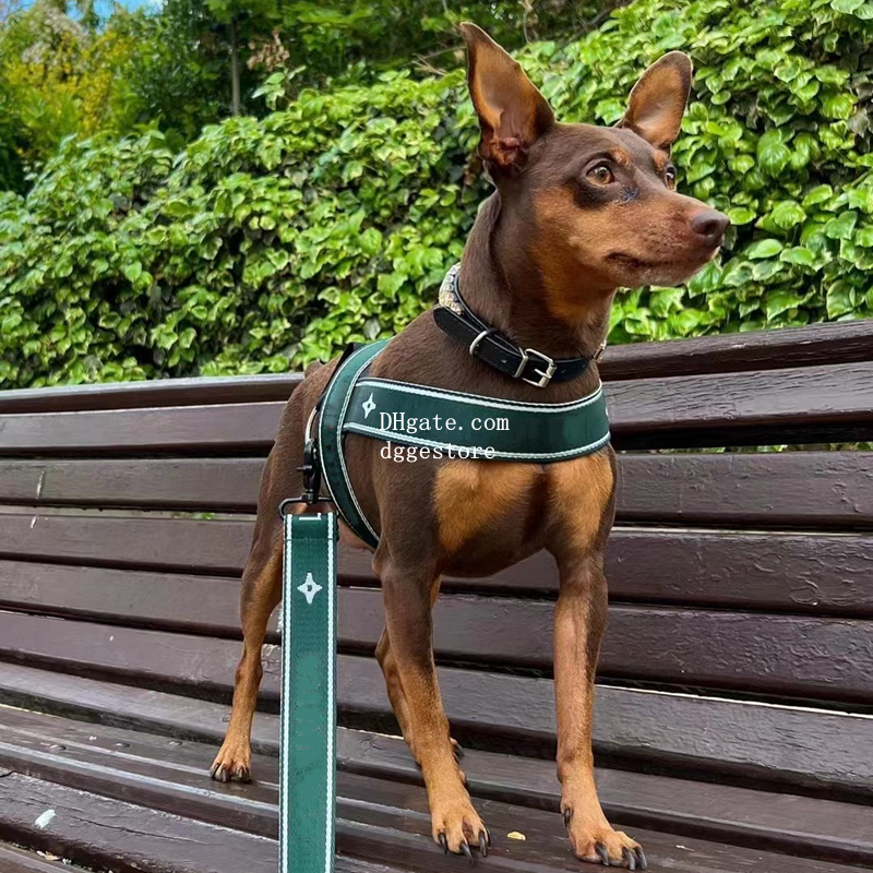 free shipping No Pull with ic Jacquard Pattern Designer Collars Leash Set Adjustable Nylon Quick Fit Dog Vest Harness for Small to Large Dogs XL B177