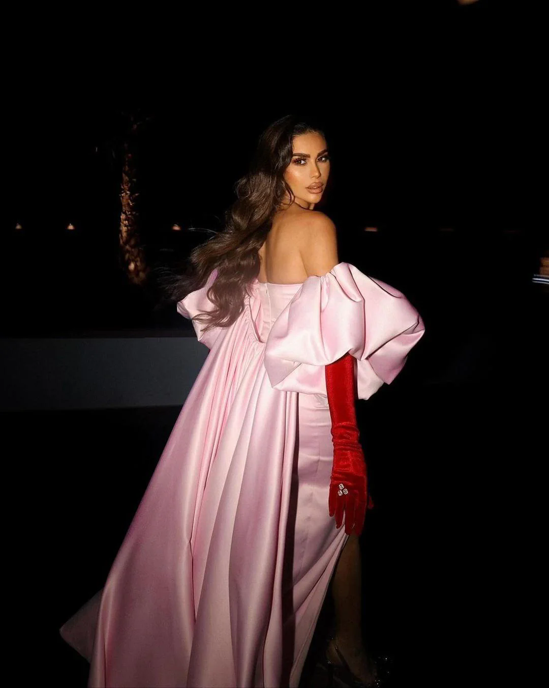 Aso Ebi Evening Dress Plus Size Formal Party Prom Gowns Sheer Weddings Reception Gown Formal Occasion Dress Vestidos De Noche 06