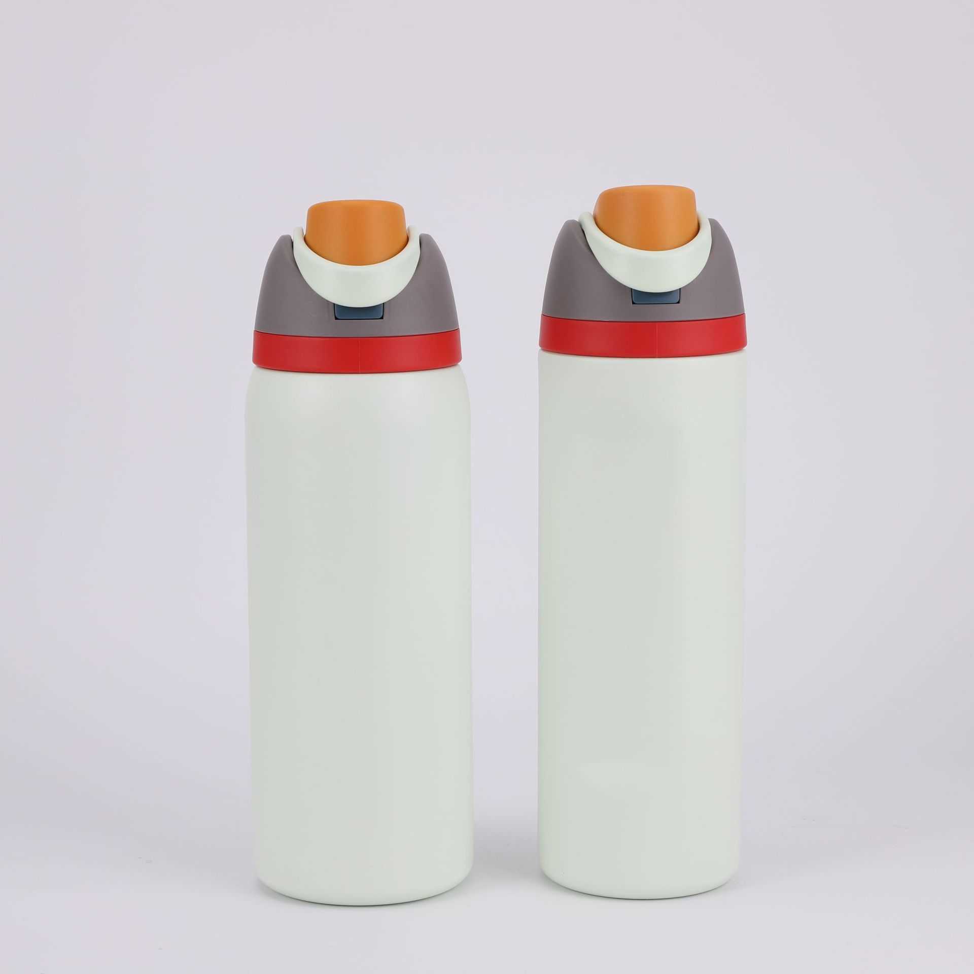 InsULated Stainless Steel Water Bottle with Straw for Sports and Travel BPA-Free 24oz/32oz M241025