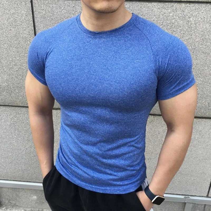2024 New Mens Summer Short Slip Shirt Running Sports Fitness Compression T-shirt Casual Elastic Strength Top W241026