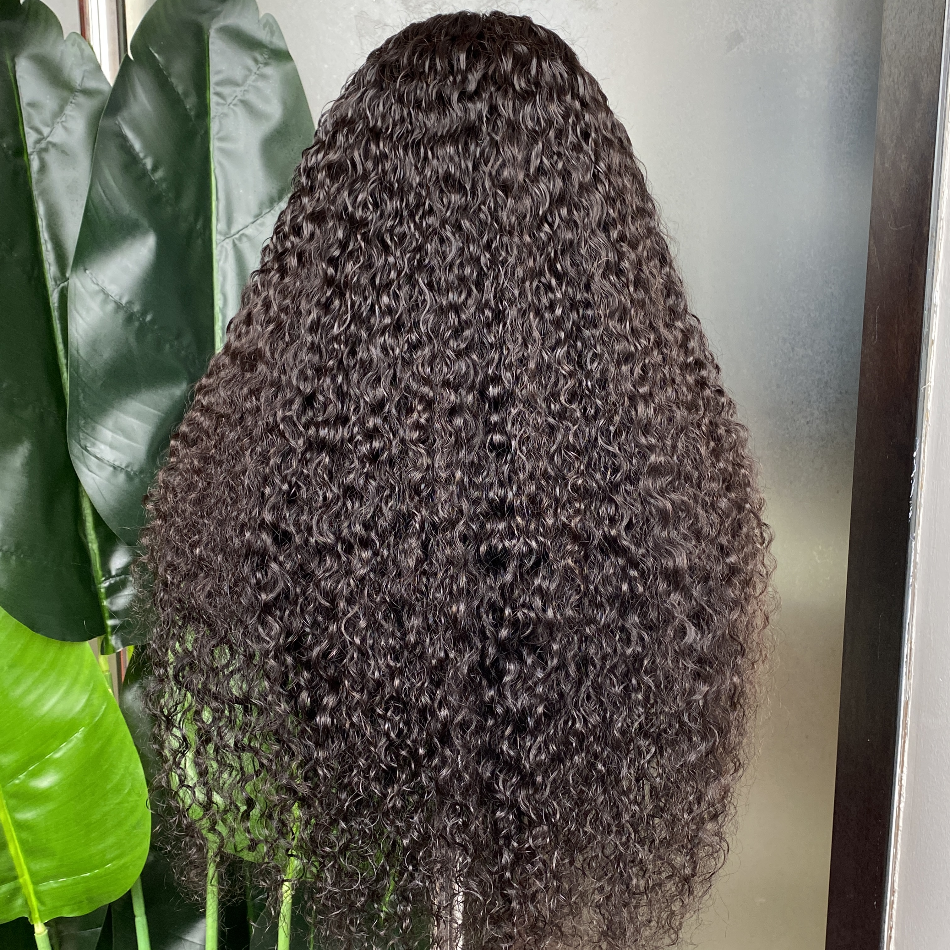 Grade 12A Burmese Curly 13x6 HD Transaprent Lace Frontal Wig 100% Raw Remy Virgin Human Hair 24 Inch Brazilian Indian Thick Hair