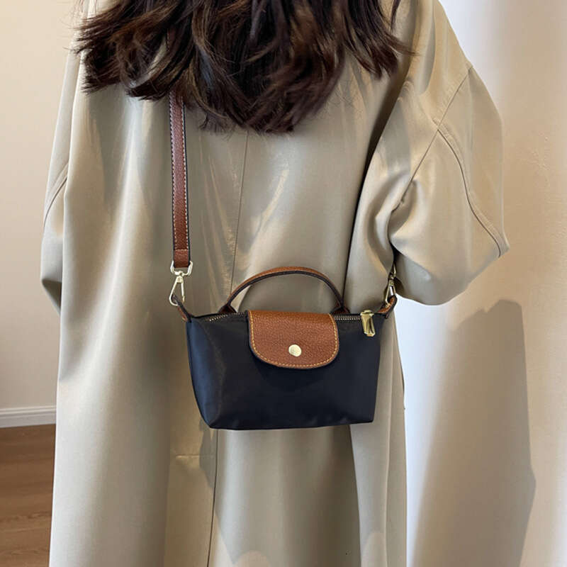 Small Handbag for Women 2025 New Niche Mini Hand-held Dumpg High-end Nylon Fabric Shoulder and Crossbody Mobile Phone Bag