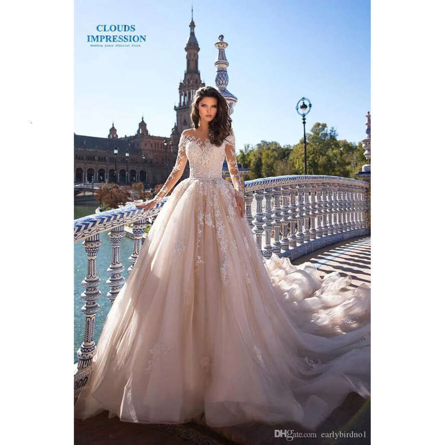 Eleagnt Champagne Long Sleeves Lace Appliqued A-E Dresses Sheer Neck Beach Bohemian Plus Size Wedding Dress Bridal Gowns 0430