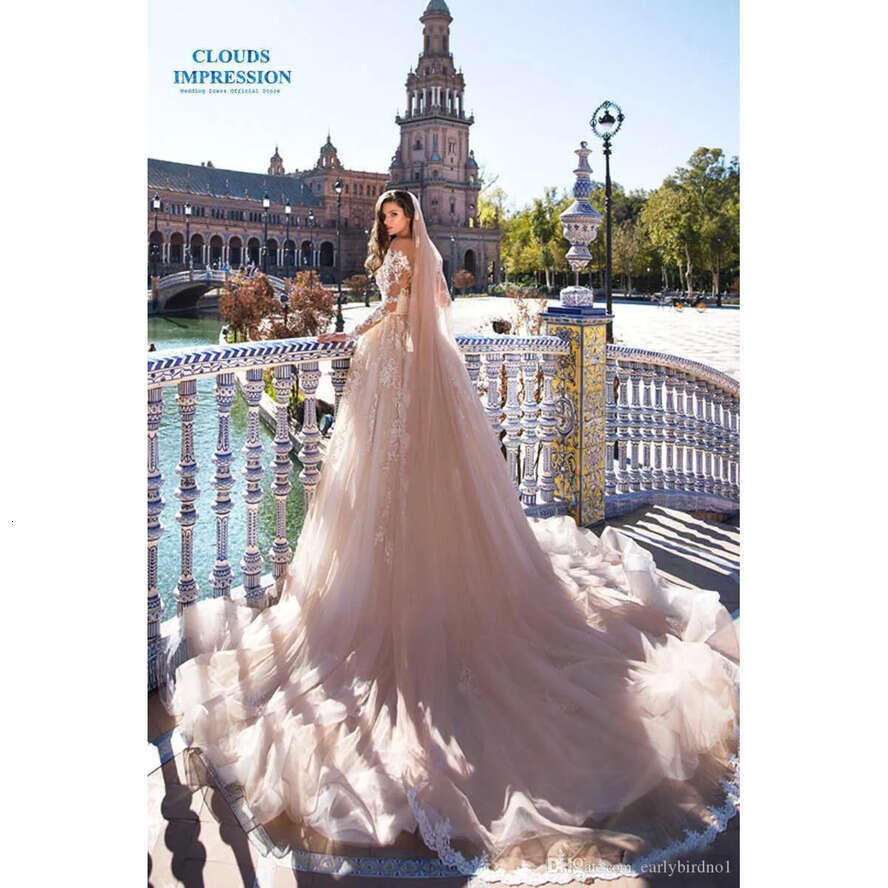 Eleagnt Champagne Long Sleeves Lace Appliqued A-E Dresses Sheer Neck Beach Bohemian Plus Size Wedding Dress Bridal Gowns 0430
