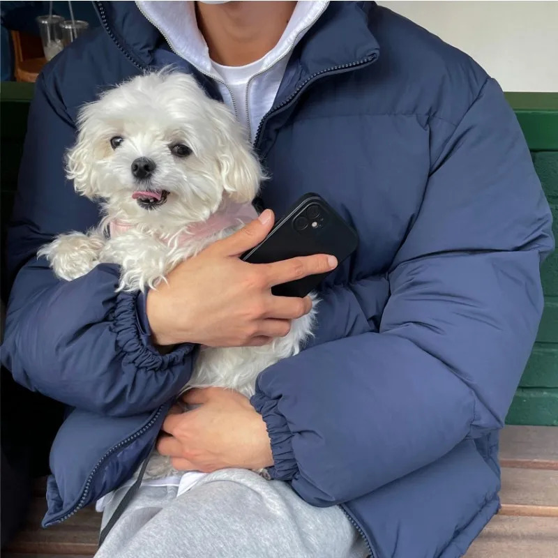 LAPPSTER Winter Harajuku Short Puffer Jacket Men Parkas Casual Kpop Bubble Jackets Mens Streetwear Korean Fashions Coats 241024