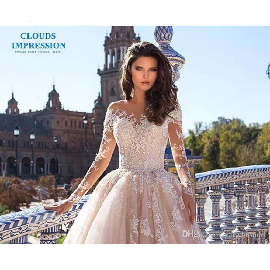 Eleagnt Champagne Long Sleeves Lace Appliqued A-E Dresses Sheer Neck Beach Bohemian Plus Size Wedding Dress Bridal Gowns 0430