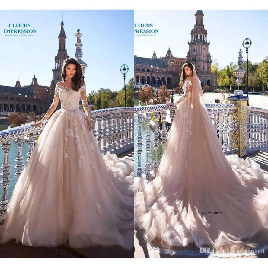 Eleagnt Champagne Long Sleeves Lace Appliqued A-E Dresses Sheer Neck Beach Bohemian Plus Size Wedding Dress Bridal Gowns 0430