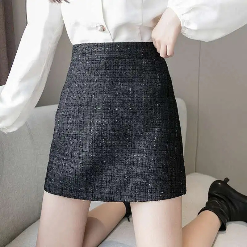 Korean Fashion Autumn/Winter Wool Womens Solid Zipper Bright Silk Simple and Unique High Waist Short A-line Hip Packaging Skiing 241028