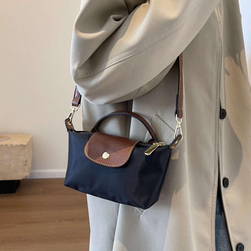 Small Handbag for Women 2025 New Niche Mini Hand-held Dumpg High-end Nylon Fabric Shoulder and Crossbody Mobile Phone Bag