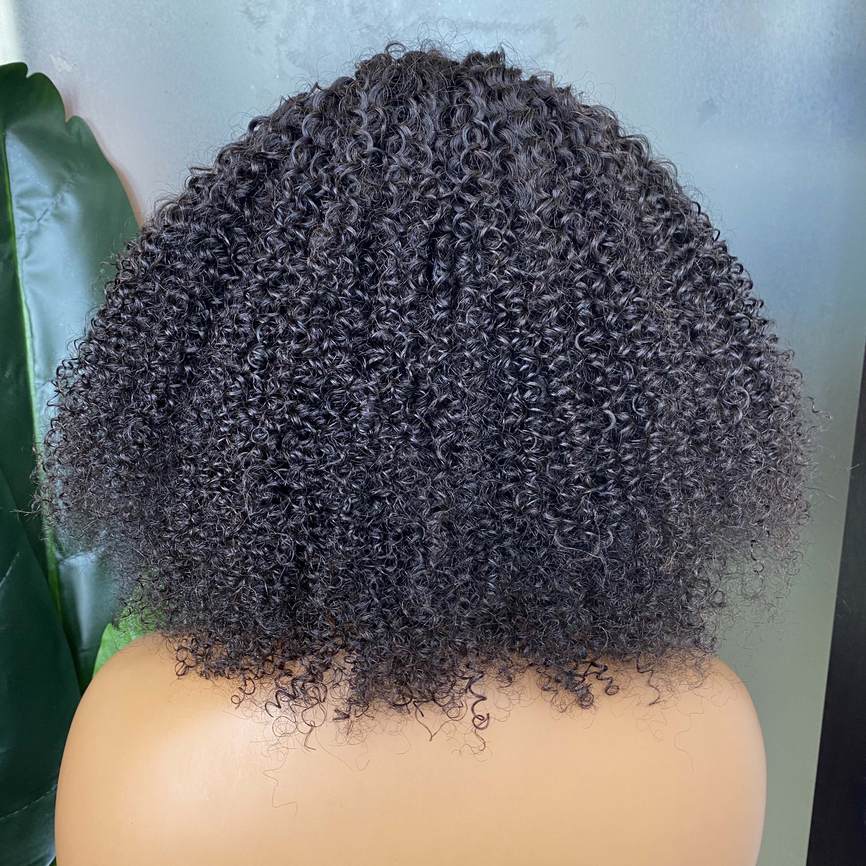 100% Virgin Remy Human Hair Kinky Curly 4x4 HD Full Lace Closure Wig Malaysian Peruvian Brazilian Thick Hair