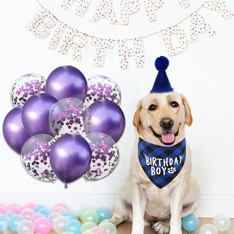 Dog Birthday Party Supplies Offered Birthday Boy Dog Bandana Dog Birthday Hat with Numbers