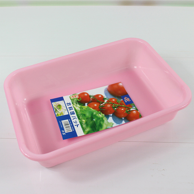 Custom home egg storage and cleaning carton rectangular transparent preservation box PET plastic multifunctional storage box