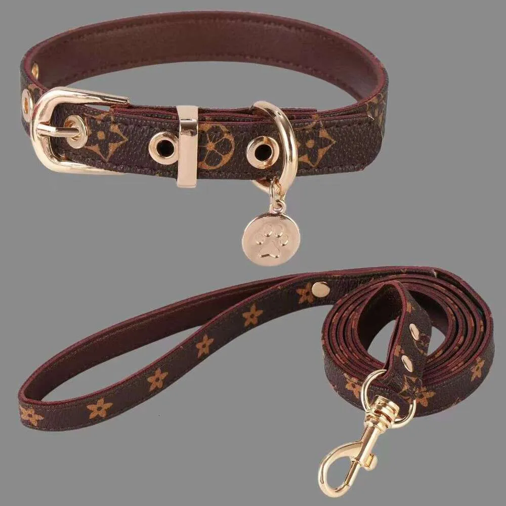 Collars Durable and Dog Adjustable Walking Dog Neck Collar Pet Belt Traction Rope Pet Supplies Wholesale Designed for Dogs and Cats