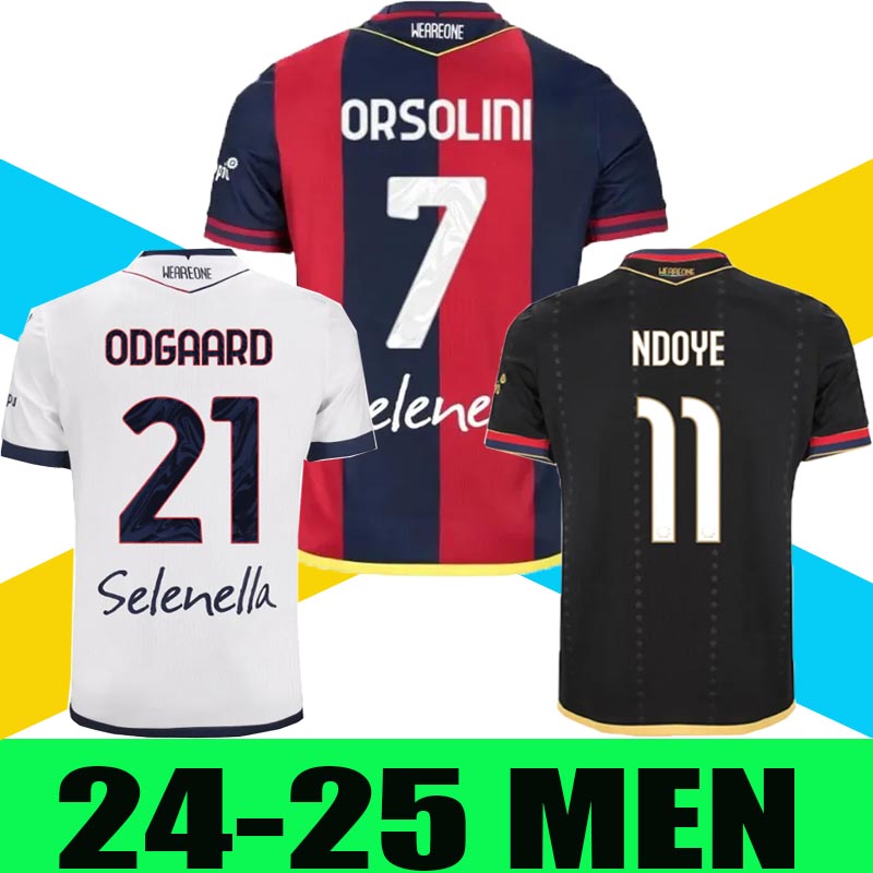 24 25 Bologna Soccer Jerseys ORSOLINI ARNAUTOVIC 2024 2025 RAIMONDO ZIRKZEE AEBISCHER SCHOUTEN Football Shirts