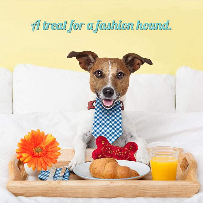 Luxury Dog Plush Toys Designs Dog Toys Unique Squeaky Parody Puppy Toys Bone, Stimulating Pet Enrichment, Safe Materials for All Breeds Dogs Christmas