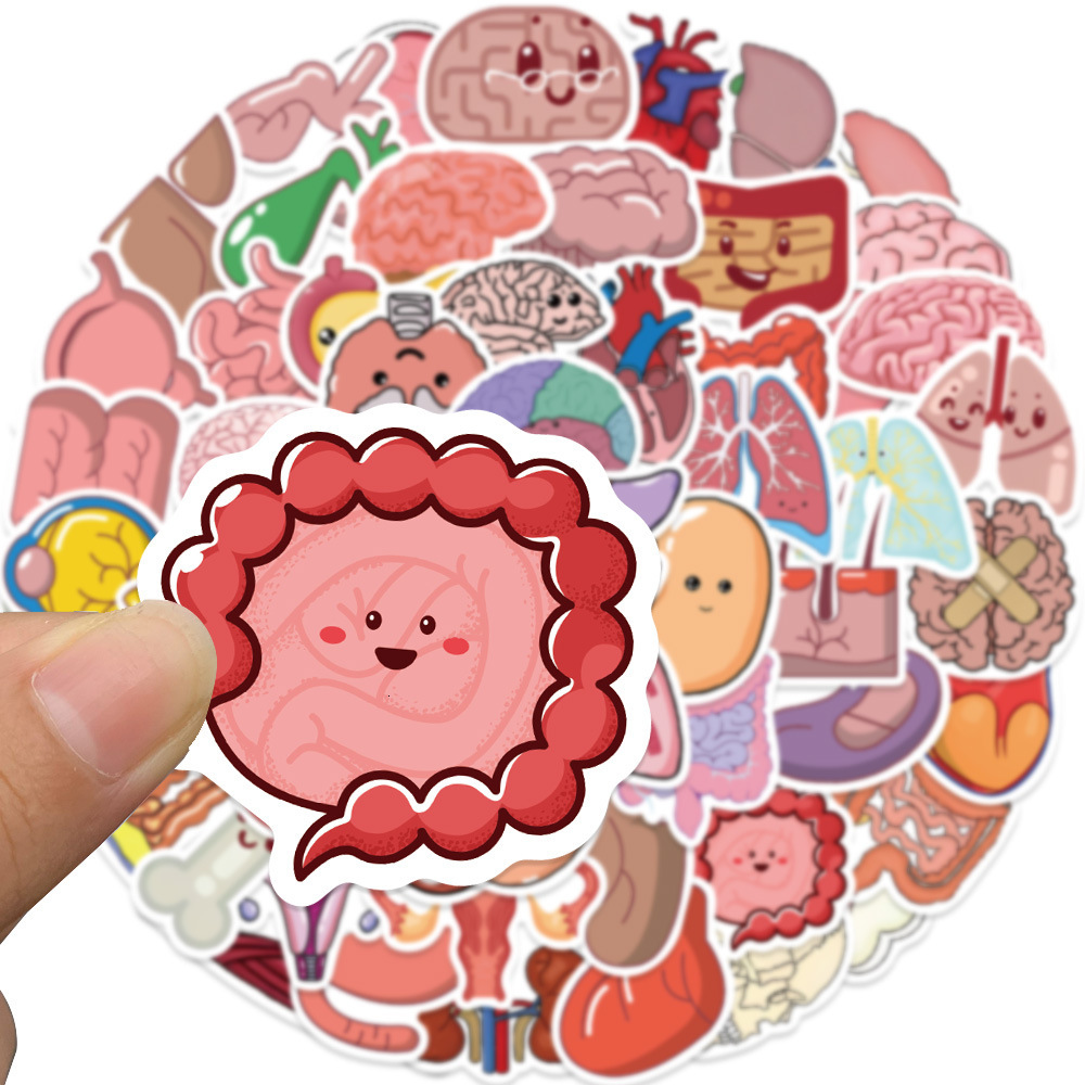 New 10 65Pcs Cartoon Human Organ Cute Medical Anatomy Sticker Laptop Bicycle Guitar Phone Kid Toy DIY Graffiti Waterproof Stickers