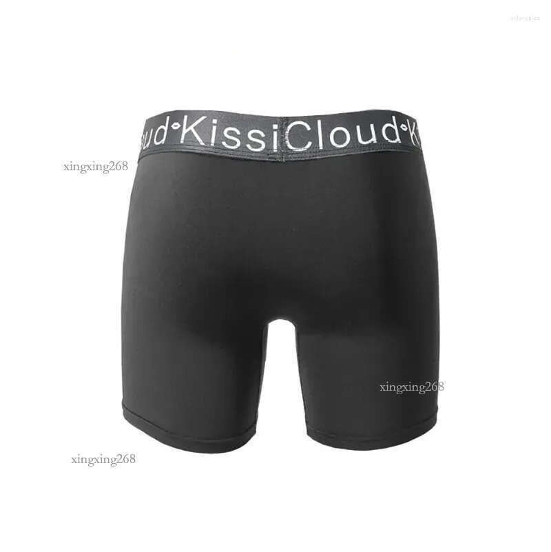 Underpants 4Pcs/Lot Men's Panties Long Underwear Sexy Man Boxers Shorts Lots Male Boxershorts Set Family Brands