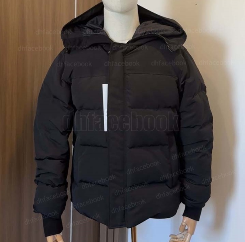 Men Down Jackets Veste Homme Outdoor Winter Jassen Outerwear Big Fur Hooded Fourrure Manteau Down Jacket Coat Hiver Parka Doudoune Size canadian xs-3xl goosed jacket