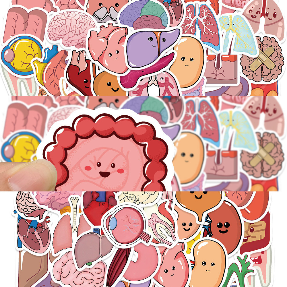 New 10 65Pcs Cartoon Human Organ Cute Medical Anatomy Sticker Laptop Bicycle Guitar Phone Kid Toy DIY Graffiti Waterproof Stickers
