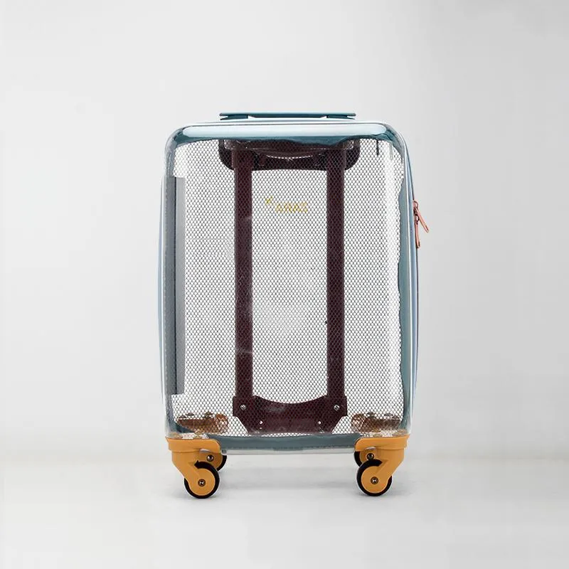 tool air box Suitcases Fashion Transparent Luggage Children's Small Mini 14 Inch Boys And Girls Light Cute Boarding Travel Trolley Suitcase